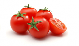 Cây cà chua ở Việt Nam có ý nghĩa quan trọng về mặt luân canh
