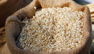 Thái Lan đặt mục tiêu trở thành trung tâm sản xuất gạo hữu cơ ASEAN
