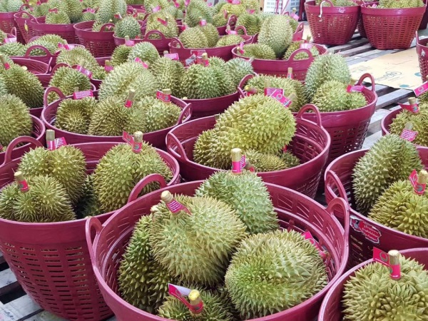 trái cây Thái Lan